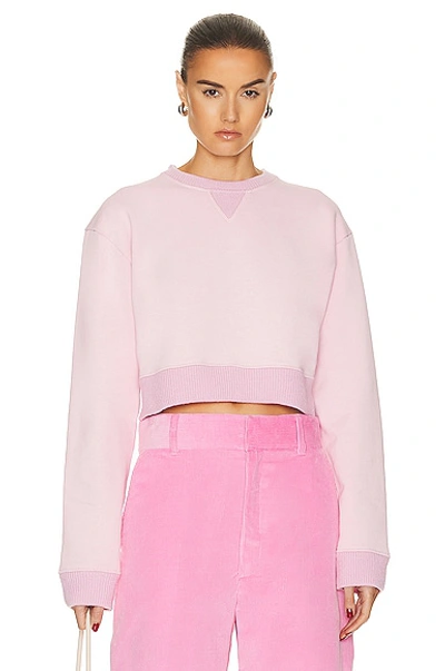 Loewe Cropped Anagram Sweatshirt In British_rose