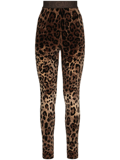 Dolce & Gabbana Leopard-print Jacquard Leggings