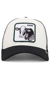 GOORIN BROTHERS THE CASH COW HAT