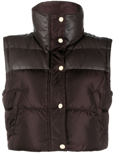 Pinko Padded-design Stand-up Collar Gilet In Brown