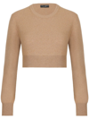 Dolce & Gabbana Cashmere And Wool Cropped Knit Crewneck In Brown