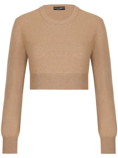 Dolce & Gabbana Cashmere And Wool Cropped Knit Crewneck In Brown
