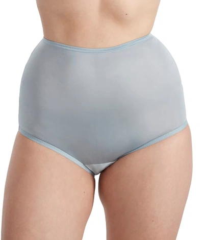 Vanity Fair Classic Ravissant Full Brief In Silver