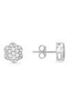 Queen Jewels Sterling Silver Cz Pavé Stud Earrings