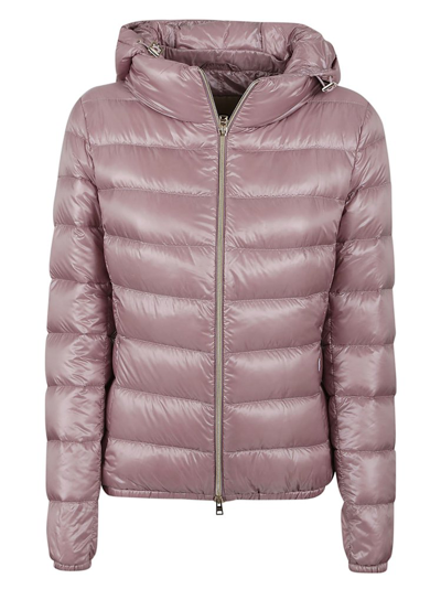 Herno Padded Jacket In Purple