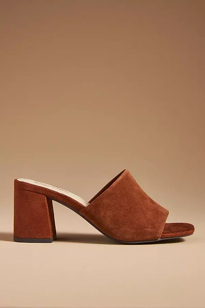 Seychelles Adapt Heels In Brown