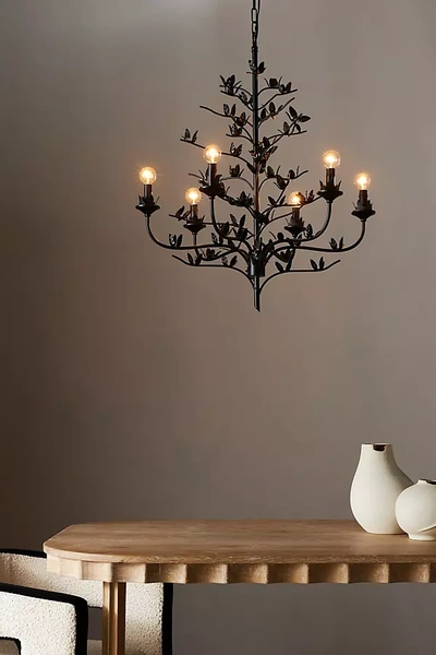 Anthropologie Blooming Chandelier In Black