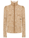 Dolce & Gabbana Sheer-lace High-neck Bouse In Brown