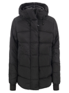 Canada Goose Alliston Feather-down Hooded Jacket In Black