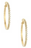 ETTIKA CUBIC ZIRCONIA HOOP EARRINGS