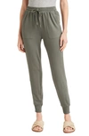 Splendid Supersoft Jogger Pant In Vintage Olive Branch