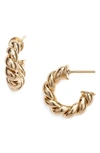 Child Of Wild Twisted Sister Small Hoop Earrings In Gold
