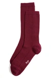 Stems Cotton & Cashmere Blend Crew Socks In Plum