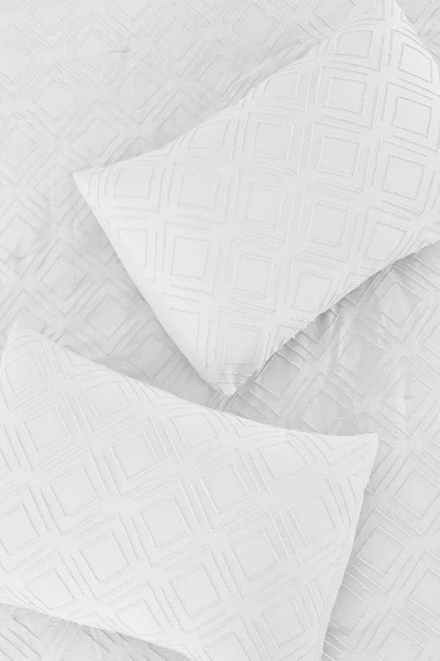 Modern Threads 3-piece Clipped Jacquard Comforter Set In White