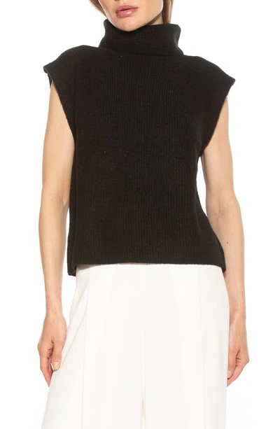 Alexia Admor Jaylani Sleeveless Turtleneck Sweater In Black