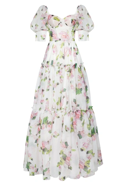 Milla Apple Blossom Feminine Voluminous Sheer Sleeves Dress