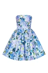 Milla Hydrangea Corset Mini Dress In Hydrangea