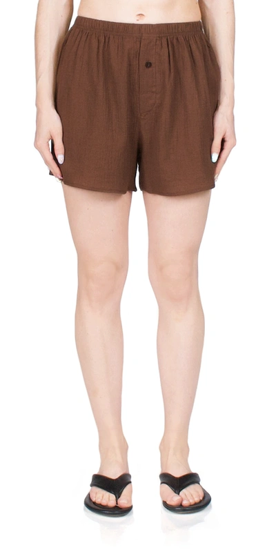 Éterne Exclusive Dylan Cotton Boxer Shorts In Brown