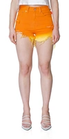 Denimist Denim Shorts