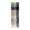 Acne Studios Vally Alpaca Blend Wool Scarf In Blue_beige_black