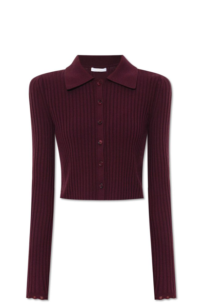 Chloé Ribbed-knit Cropped Cardigan In Burgundy