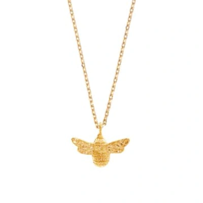 Estella Bartlett - Bee Necklace In Gold