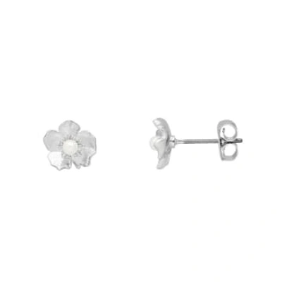 Estella Bartlett - Petite Pearl Buttercup Studs Silver Earrings In Metallic