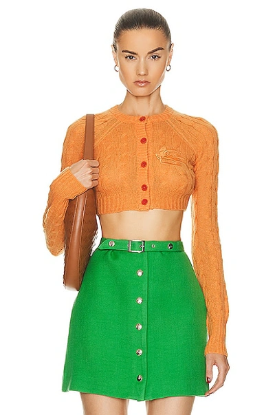 Etro Cropped Cable Knit Cashmere Cardigan In Multicolor