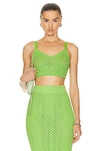 Dolce & Gabbana Crochet-knit Bralette Top In Verde Chiaro