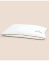 DR. WEIL COLLECTION BY PURECARE DR. WEIL/PURECARE WOOL-FILLED PILLOW