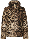 Dolce & Gabbana Leopard Print Stand Collar Puffer Jacket In Brown