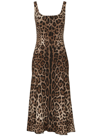Dolce & Gabbana Leopard-print Midi Dress In Brown