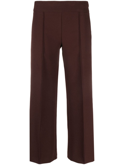 Semicouture Dart-detail Elasticated Cropped Trousers In Brown