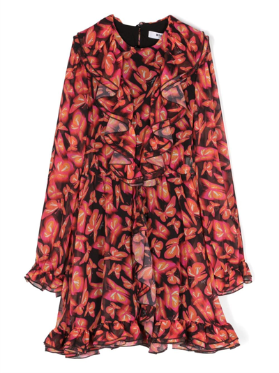 Msgm Kids' Dress Butterfly In Red