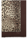 Dolce & Gabbana Leopard-print Silk Scarf In Brown