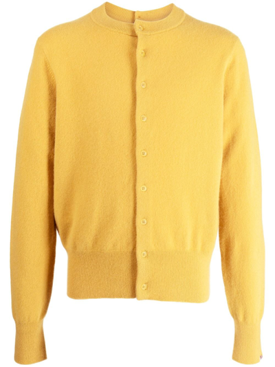 Extreme Cashmere No.283 Be Game Cashmere-blend Cardigan In Mustard