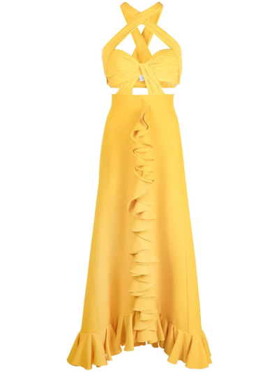 Giambattista Valli Halterneck Sleeveless Maxi Dress In Yellow