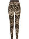 Dolce & Gabbana Logo-waistband Leopard-print Leggings In Neutrals