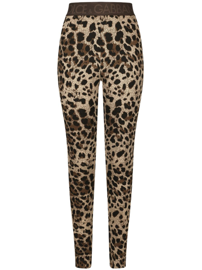 Dolce & Gabbana Logo-waistband Leopard-print Leggings In Brown