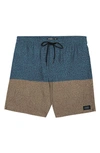 O'neill Hermosa Board Shorts In Brown 2