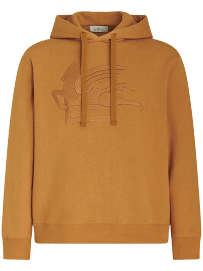 Etro Hoodie Mit Logo In Brown