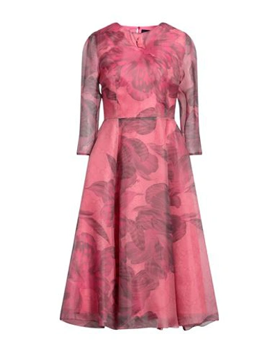 Cavalli Class Woman Midi Dress Pink Size 4 Polyester