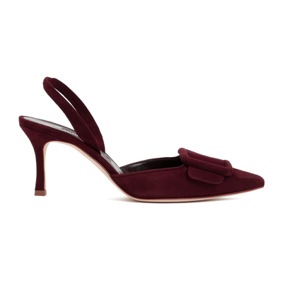 Manolo Blahnik Maysli Suede Buckle Halter Pumps In Burgundy
