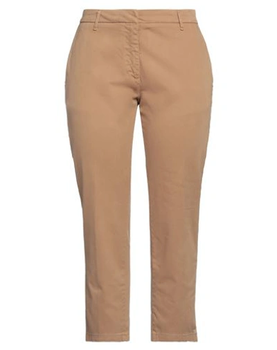 Alpha Studio Woman Pants Camel Size 4 Cotton, Elastane In Beige