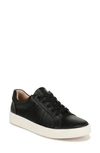 Soul Naturalizer Neela Oxford Sneaker In Black