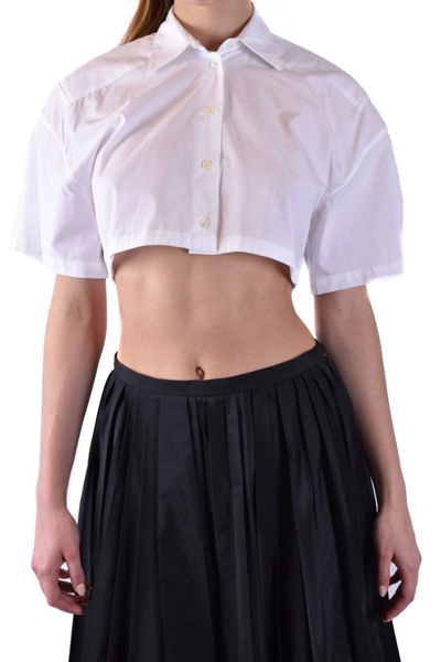 Laneus Tied-waist Cropped Cotton Shirt In White