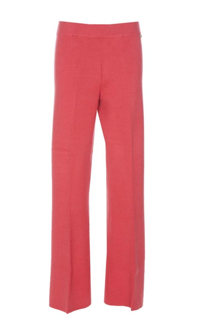 Twinset Knitted Pants In Pink