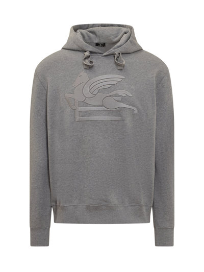 Etro Hoodie With Logo In Grey