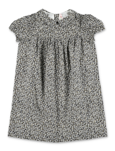 Bonpoint Kids' Tia Floral Cotton Dress In Cacao