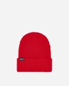 Patagonia Fisherman S Rolled Beanie Touring In Red